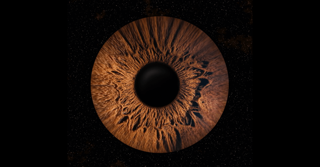 تجربة مليئة بالفرح والدهشة&nbsp;والجمال